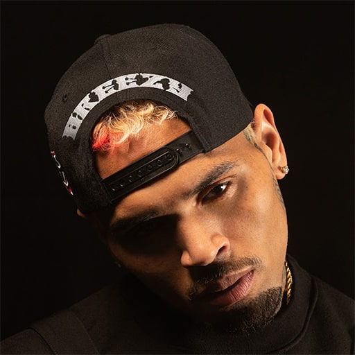 Chris Brown Tickets