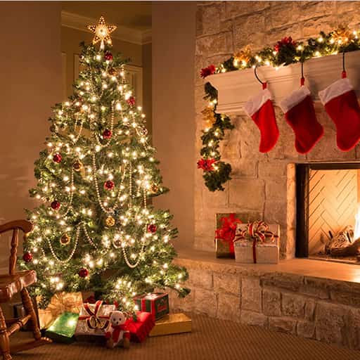 Christmas Show - Joy to The World Toronto Tickets