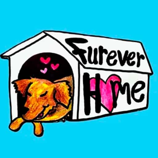 Furever Home in Toronto