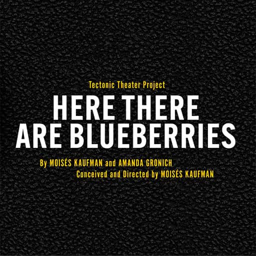 Here There Are Blueberries Toronto Tickets