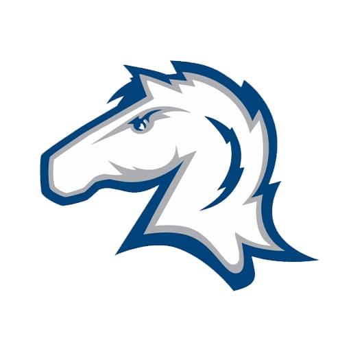Hillsdale College Chargers Basketball