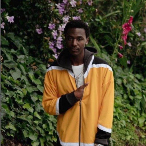 Jerrod Carmichael in Toronto