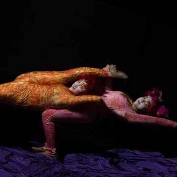 Le Petit Cirque Tickets