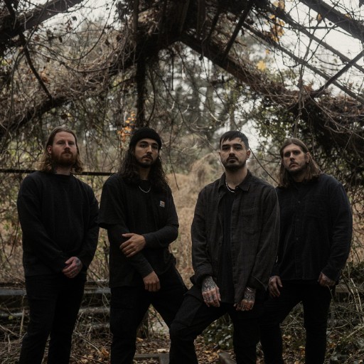 Like Moths To Flames in Toronto