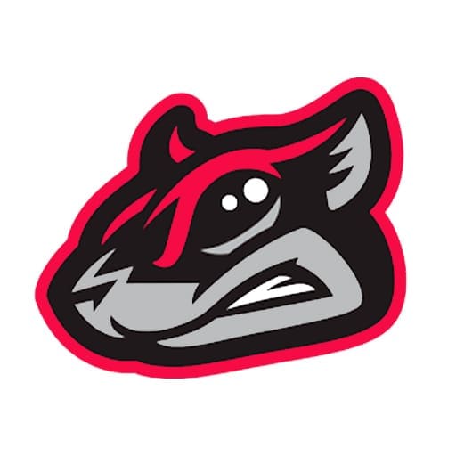 Richmond Flying Squirrels Tickets