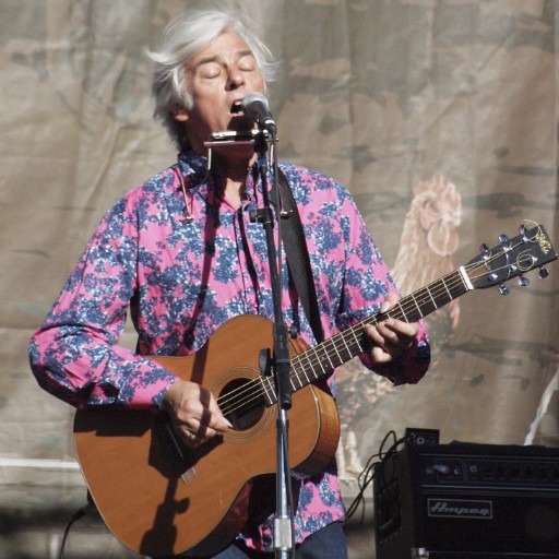 Robyn Hitchcock in Toronto