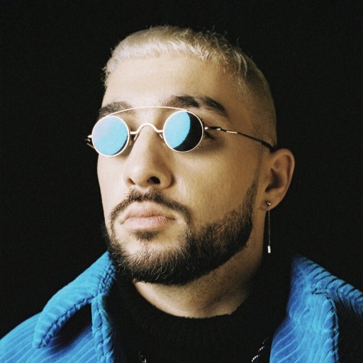 Sofiane Pamart Toronto Tickets