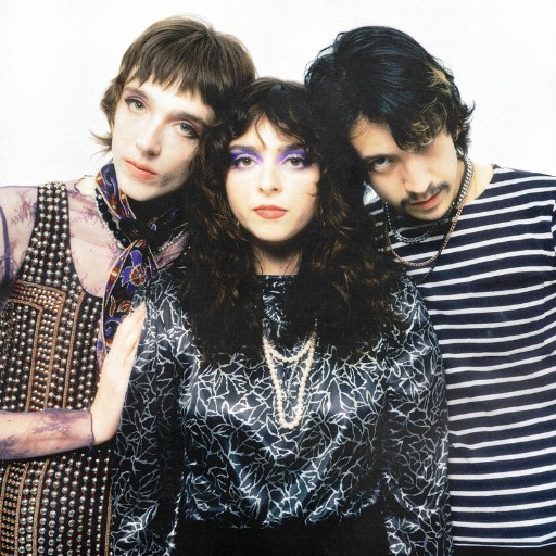 The Velveteers in Toronto
