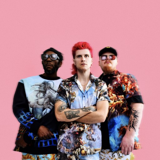 Too Many Zooz in Toronto